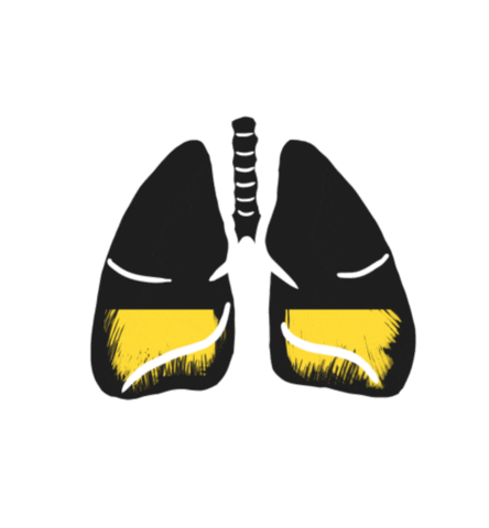 Lungs